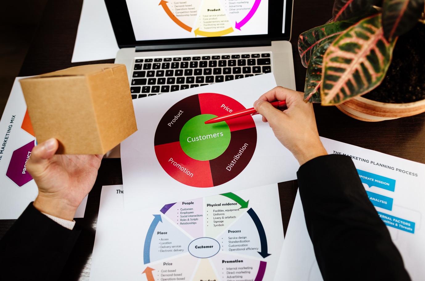 Sales Strategy Livryte